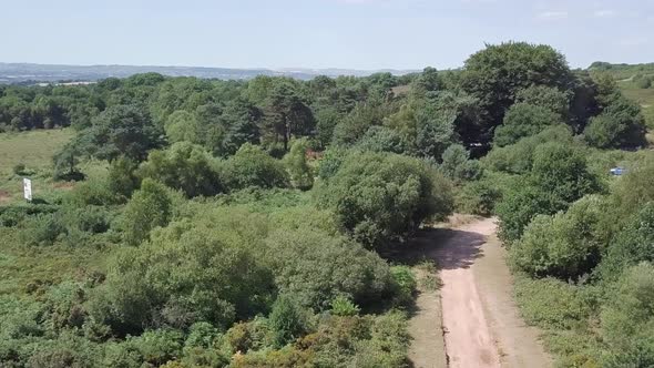 Panoramic view of beautiful green woodland in Woodbury, England. alt