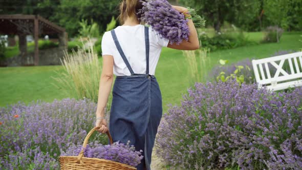 Camera Follows Confident Caucasian Woman Walking with Basket of Flowers and Lavender in Hand alt