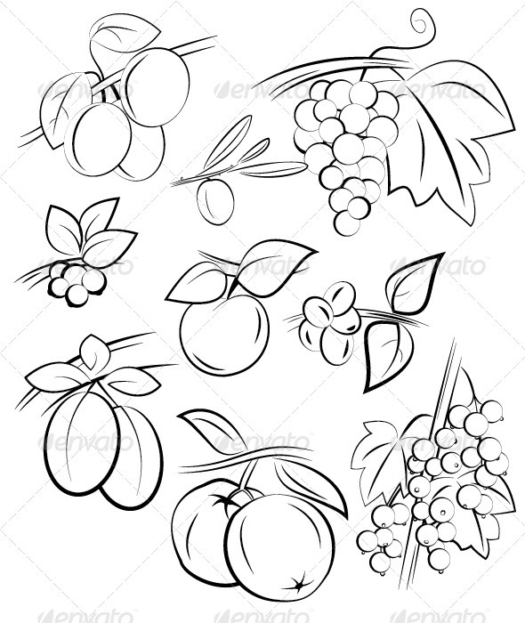 Fruits and Berries Set - Flowers & Plants Nature