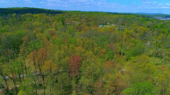 Aerial View of Spring Time Colors of a Forest
