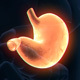 Stomach Elements - VideoHive Item for Sale