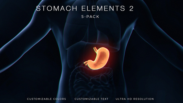 Stomach Elements 2 - VideoHive 33200534