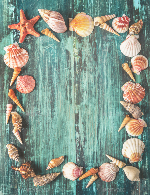 Seashells frame - Stock Photo - Images