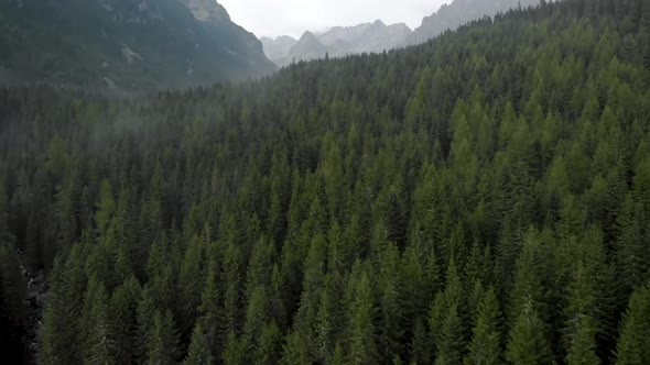 River Float Between Woods With Distant Mountain Peaks on Horizon alt