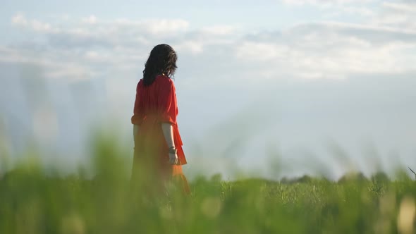 Beautiful Young Woman in a Red Dress Walks in a Green Wheat Field at Sunset or Dawn alt