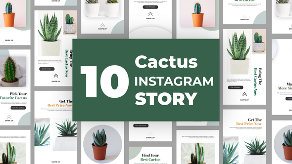 Cactus Instagram Story - VideoHive 33211459