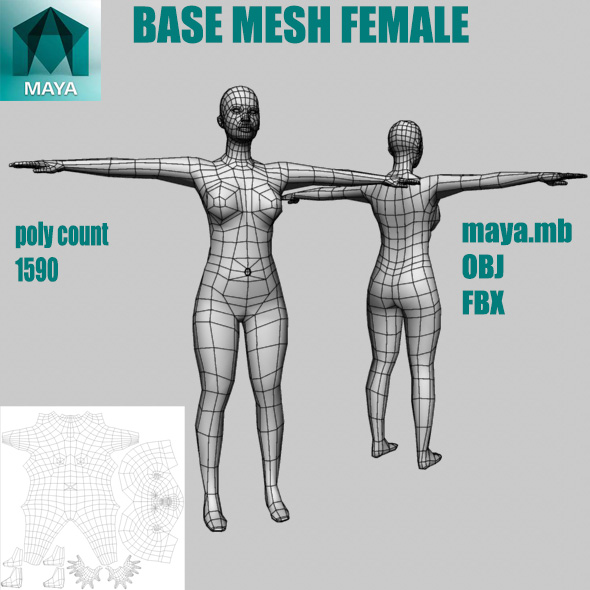 base mesh female - 3Docean 33214752