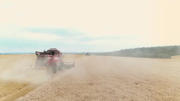 Agricultural Combines Harvesting Wheat On The Big Field. alt