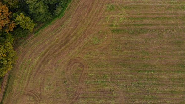 Autumn park trees and fields fly over alt