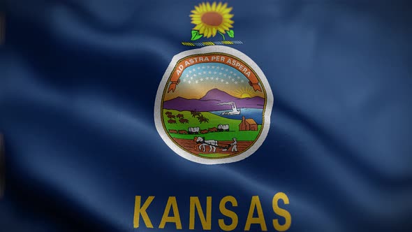 Kansas State Flag Front