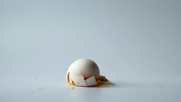 Egg Breakage alt