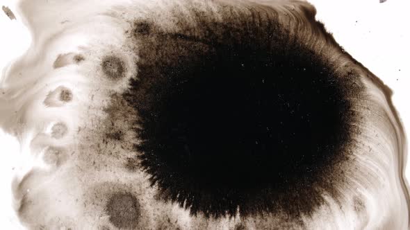 Black Ink Drops On White Background alt