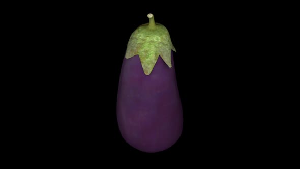 3D animation of a spinning eggplant on a black background