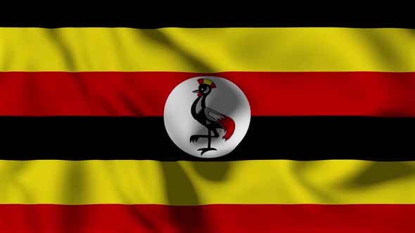 Uganda Flag Animation Loop Background, Motion Graphics | VideoHive