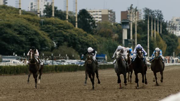 Horse Racetrack
