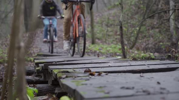 Сyclists in the forest alt