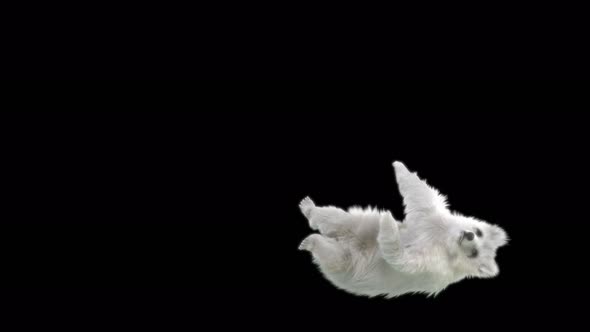 186 Bear Standing React Death Left 4K alt