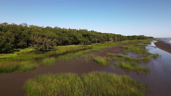 Backward aerial of sandy swamps and woods by coast of La Plata River alt