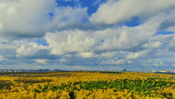 Clouds in the blue sky and the city behind the autumn trees in the forest, day timelapse alt
