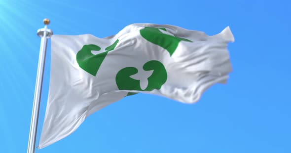 Wavre City Flag, Belgium alt