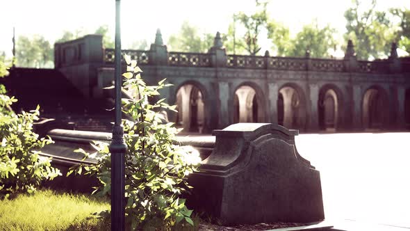 Park Street View During During Covid19 Pandemic alt