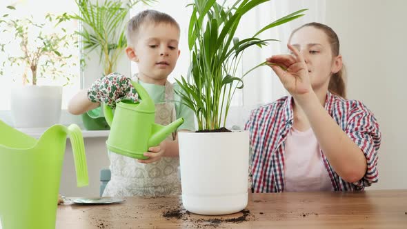 Little Boy with Mother Watering and Wiping New Small Plant Growing in Flower Pot alt