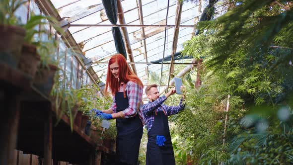 Good Looking Couple Working Together on Their