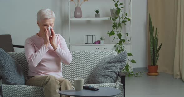 Sick Old Woman Grandma Elderly Lady Suffering From Seasonal Allergy Respiratory Virus Symptoms Runny alt