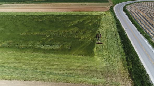 Aerial View of Amish Farm Worker Harvesting Spring Crop With Team of 2 Horses alt