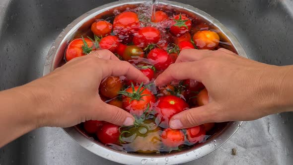 women's hands wash red tomatoes