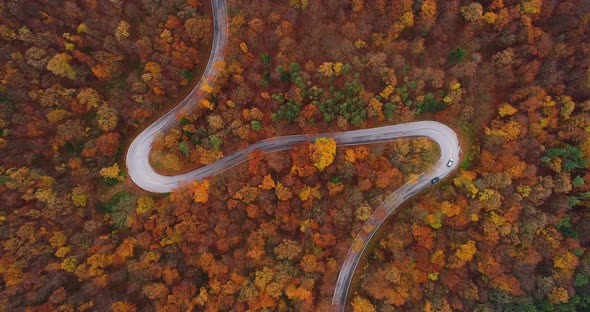 Curve Road in Autumn Forest Aerial 4K