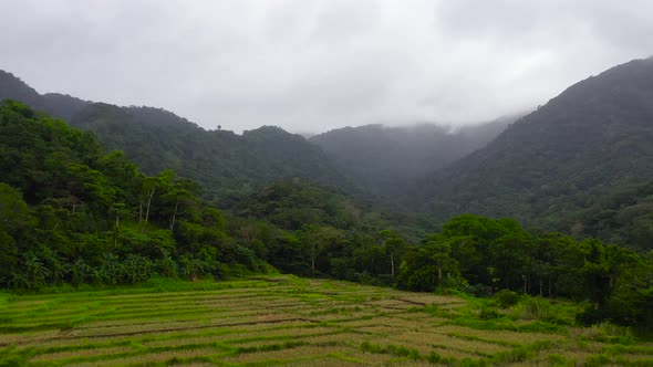 Rainforest on Top of the Mountain. Highlands on Luzon Island ...