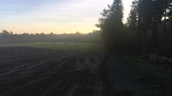 Agricultural Soil and Grass Field at Foggy Sunrise