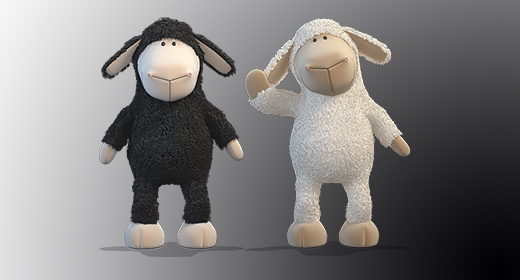 Black and White Sheeps