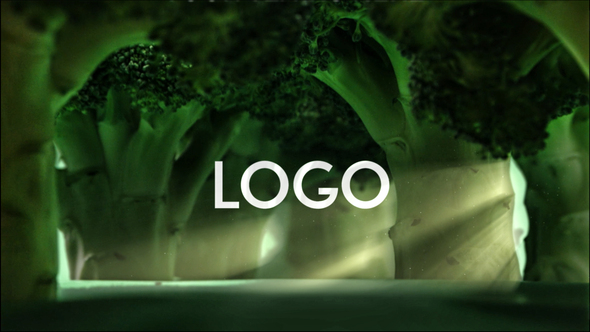 Broccoli Logo Opener | Nature, Ecology, Vegetarianism DR