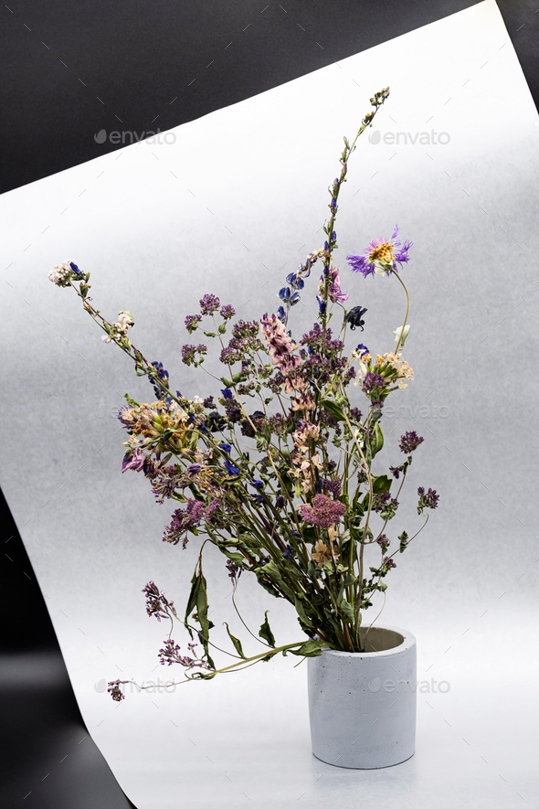 Dried Flowers in Concrete Vase, Atmospheric Mood Composition.
