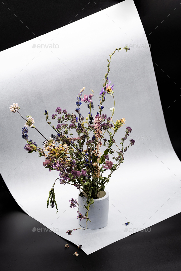 Dried Flowers in Concrete Vase, Atmospheric Mood Composition.