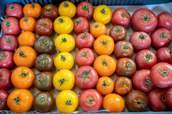 Fresh multicolored tomatoes on display at a market stall Stock