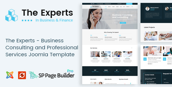 The Experts - ThemeForest 23938557