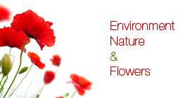 Environment, nature and flowers