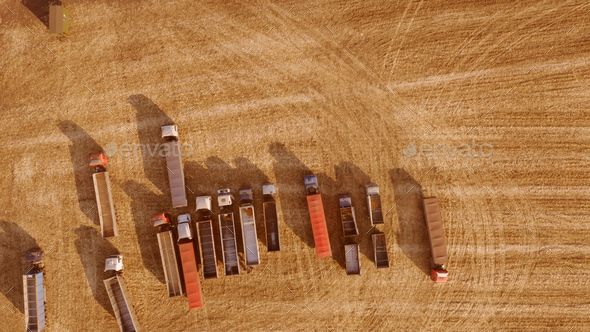 Aerial view of grain trucks on the field.