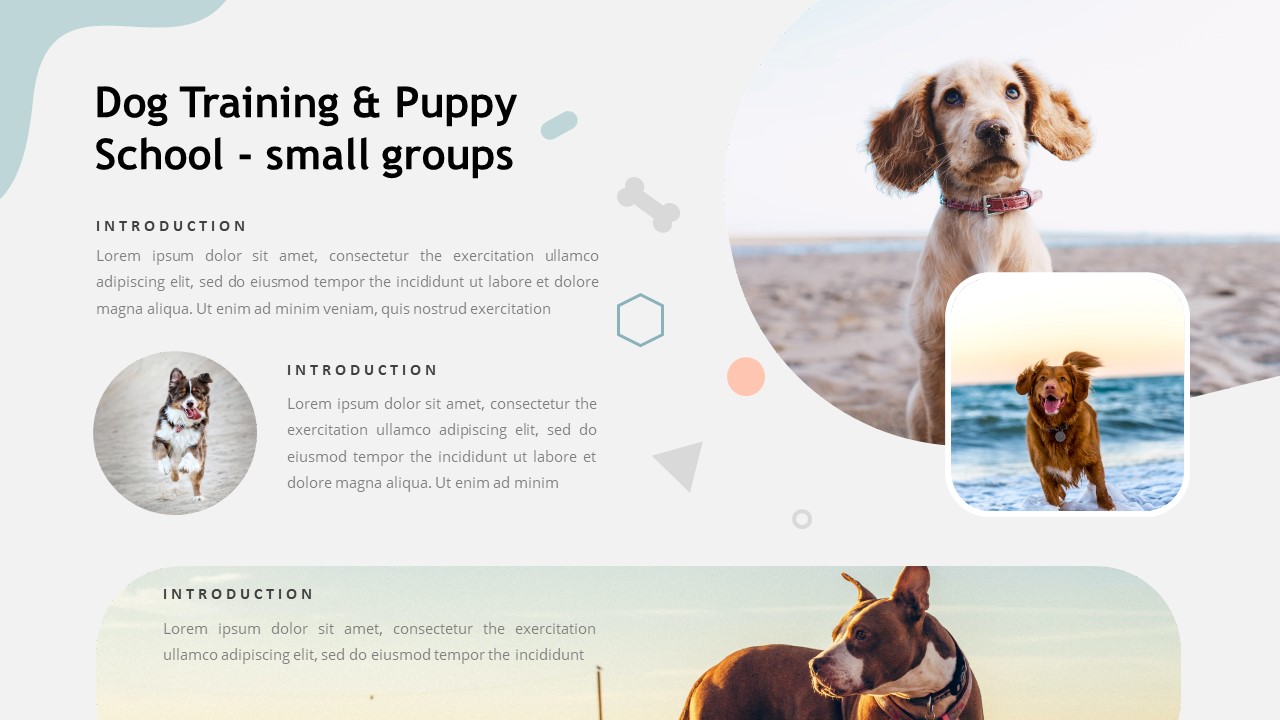 DOGTRA – Creative Business PowerPoint Template by abildesign | GraphicRiver