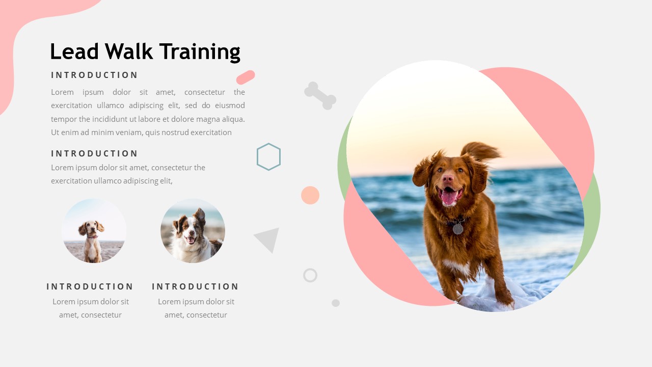 Dogtra – Creative Business Powerpoint Template By Abildesign 