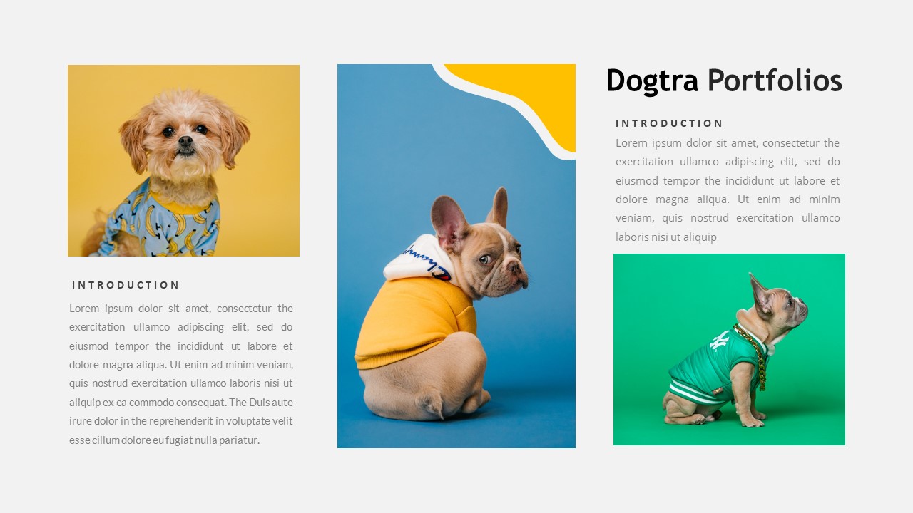 DOGTRA – Creative Business PowerPoint Template by abildesign | GraphicRiver