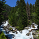 Mountain river in coniferous forest - PhotoDune Item for Sale