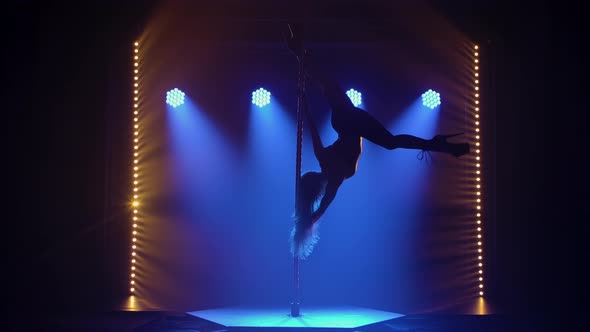 Sexy Young Woman with Long Hair Twirls Upside Down on a Pole and Performs an Acrobatic Stunt alt