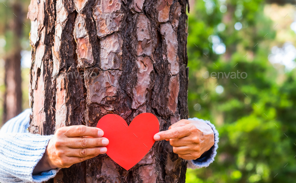 Human arms hugging a tree trunk in the woods holding a paper heart in their hands, earth day concept