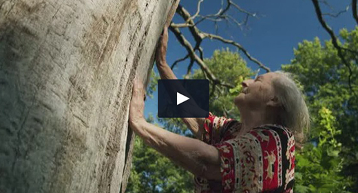 Granny and the world