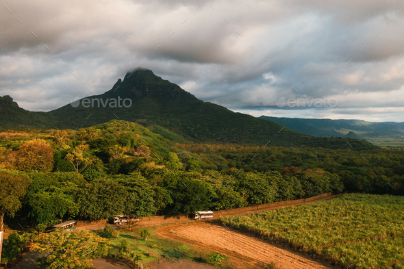 Bird's-eye view of the beautiful fields of the island of Mauritius and the mountains, Casella
