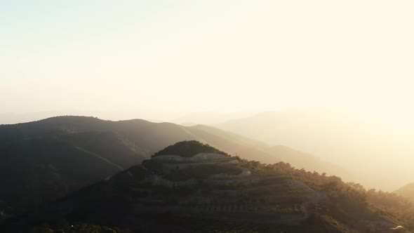Vineyards on the hill surrounded by Troodos mountains alt